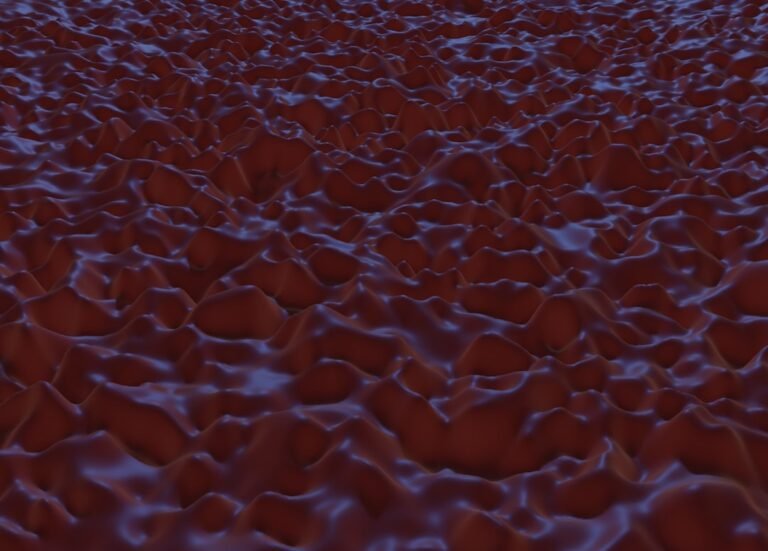 Photo Creative layout