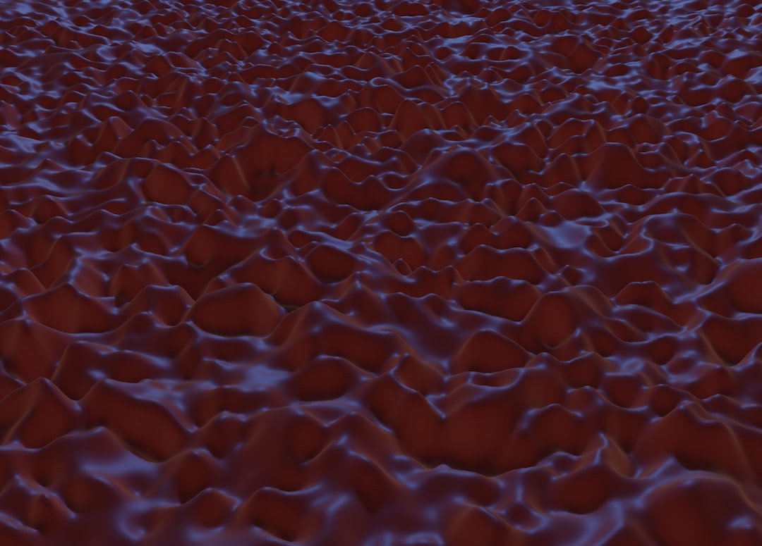 Photo Creative layout