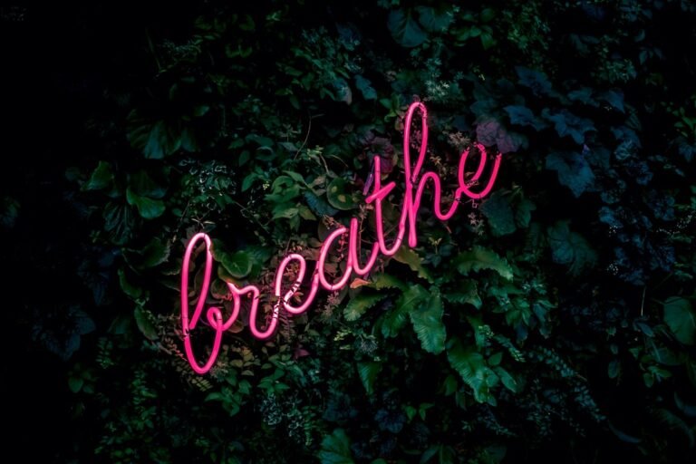 Photo Creative typography